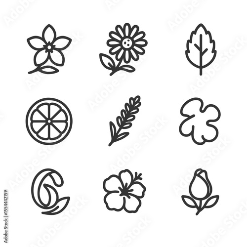 Tea Flavors Icons. Outline icon set of tea flavors and infusions: jasmine blossom, chamomile flower, mint leaf, bergamot citrus,