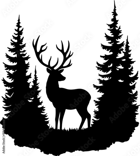 deer in the forest