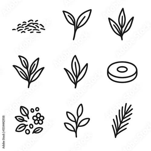 Traditional Tea Icons. Outline icon set of traditional tea leaves: loose leaf tea pile, green tea leaf, black tea leaf, oolong tea