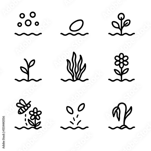 Underwater Plant Life Cycle. Outline icon set of underwater plant life cycle: spore, seed, sprout, juvenile plant, mature plant,
