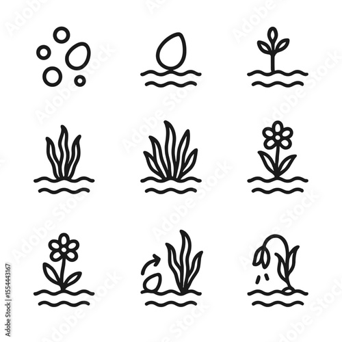 Underwater Plant Life Cycle. Outline icon set of underwater plant life cycle: spore, seed, sprout, juvenile plant, mature plant,