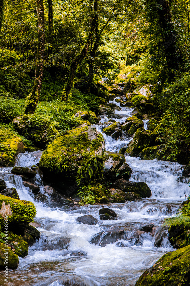 Fototapeta premium waterfall in the forest at Nepal 