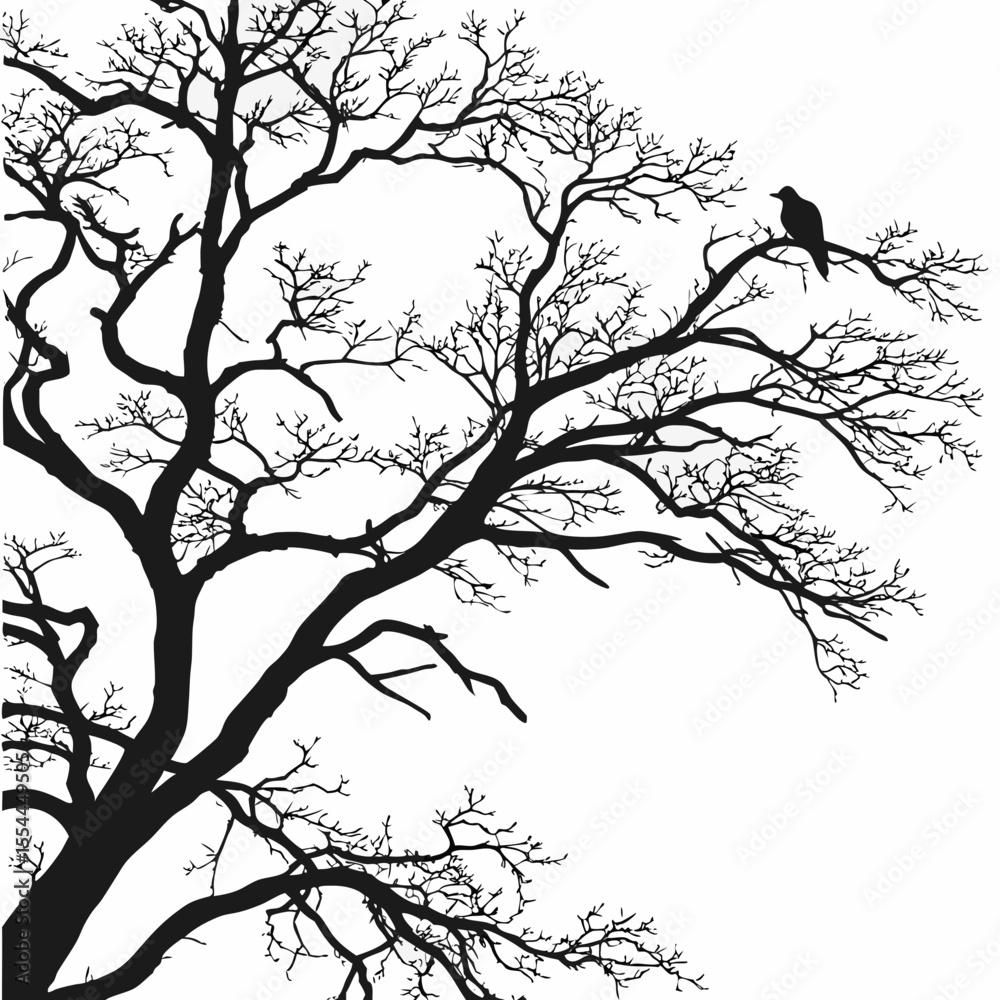 Fototapeta premium Silhouette of a barren tree with a perched bird against a white background illustration