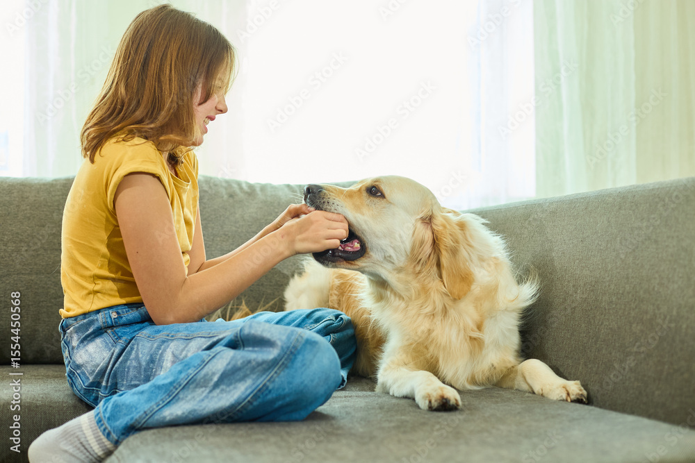 A girl with long hair enjoys her time at home with a golden retriever. She sits on a sofa, holding a green ball while the dog eagerly interacts with her, displaying a playful moment. A girl with long hair enjoys her time at home with a golden retriever. She sits on a sofa, holding a green ball while the dog eagerly interacts with her, displaying a playful moment.