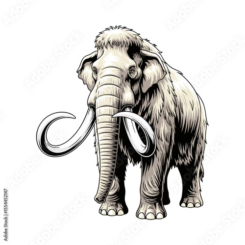 vector illustration of a mammoth on a white background