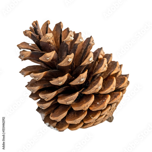 Majestic Pine Cone: Nature's Detailed Conifer