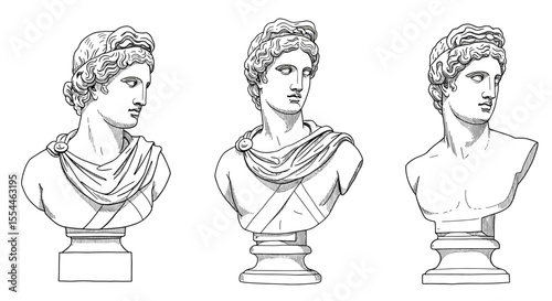 Classical busts vector illustration for art design, line style