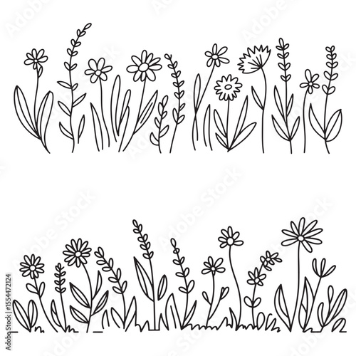 Delicate Botanical Illustrations Featuring Line Art of Meadow Flowers and Foliage in a Minimalist and Whimsical Style