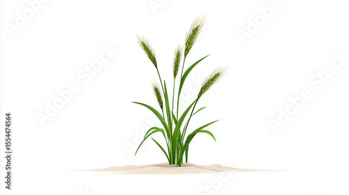 Wallpaper Mural Plante de blé minimaliste Torontodigital.ca