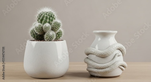 Small Green Cactus in a White Pot Beside a Ceramic Vase with Texture