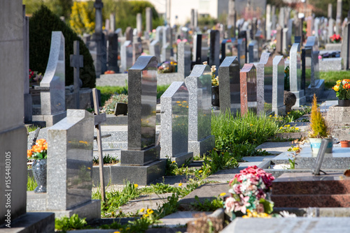 Un cimetière communale en France avec un groupement de sépultures et de tombes. Espace funéraire du souvenir signalé par un monument, des symboles ou des inscriptions  et des fleurs.