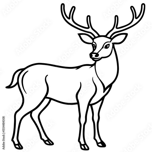 Deer line art vector