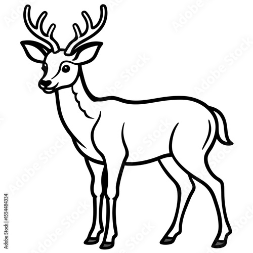 Deer line art vector