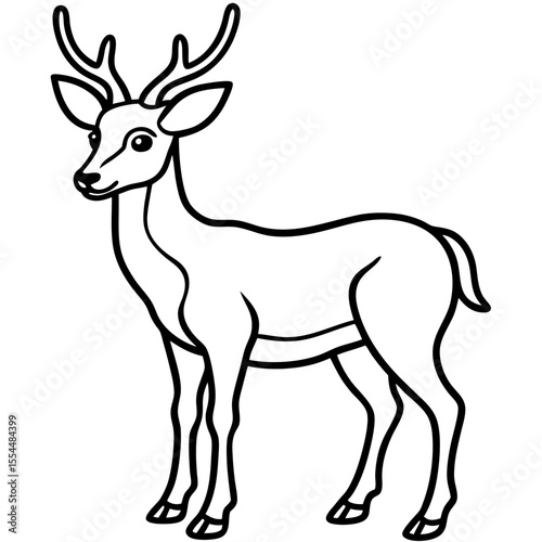Deer line art vector