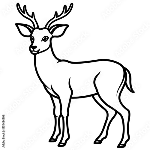 Deer line art vector