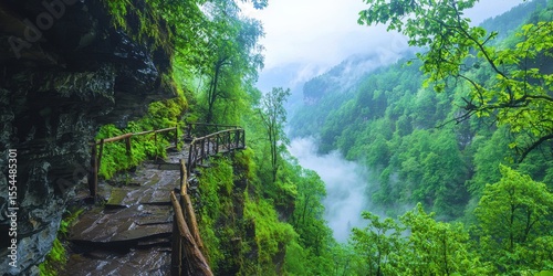 A scenic mountain pathway with wooden railings winds through lush green forests and misty valleys under a cloudy sky.