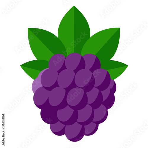 bramble vector on-white-background
