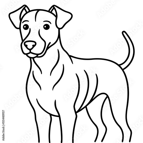dogs line art vector