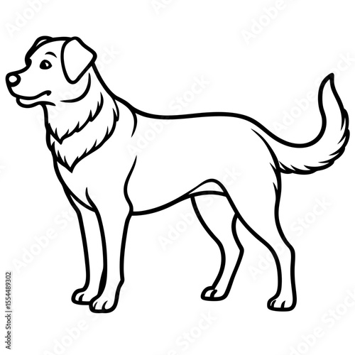 dogs line art vector