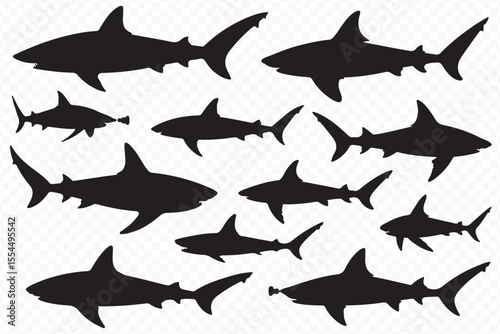 shark silhouette eps ai vector pack for designers, educators and researchers offering scalable marine wildlife graphics