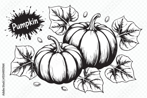 vintage black and white pumpkin sketch vector with detailed foliage for autumn printables and seasonal décor