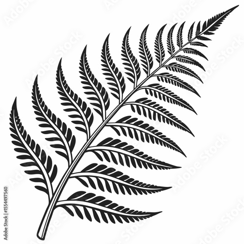 Black and white illustration of a delicate fern frond on a white background