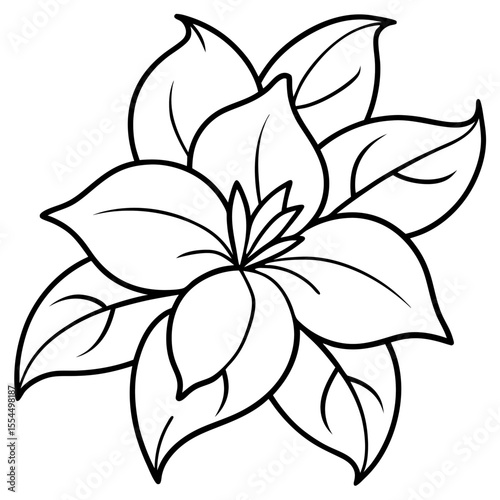 Jasmine line art vector