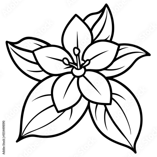 Jasmine line art vector