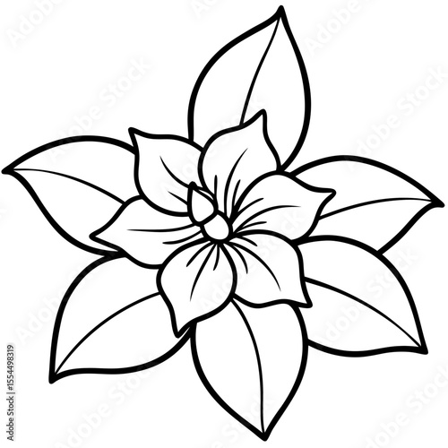Jasmine line art vector