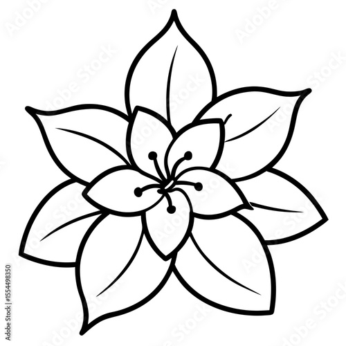 Jasmine line art vector