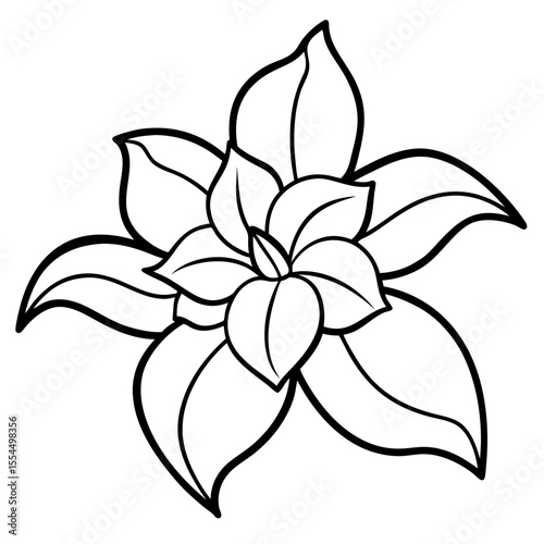 Jasmine line art vector
