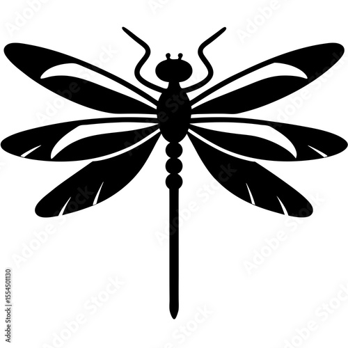 dragonfly vector illustration