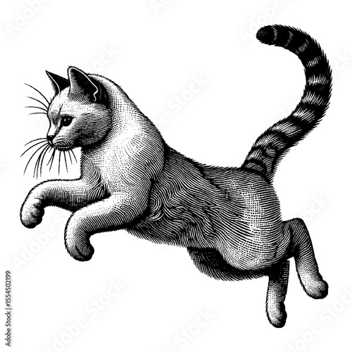 Cat Jumping Illustration in Black and White Outline Line Art Drawing Style Vector