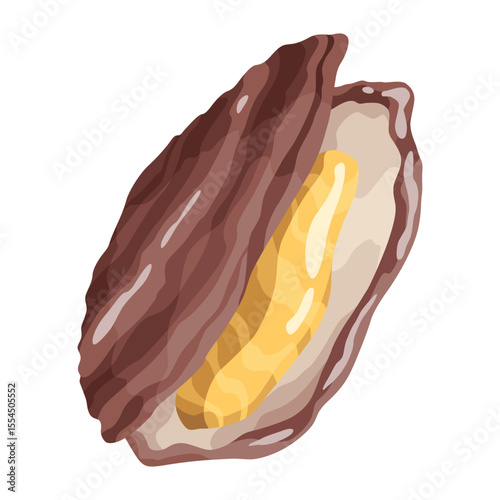 Oyster. Sea shell, cartoon icon. Ocean exotic underwater sink seashell aquatic mollusk. Tropical beach shells. Vector cartoon illustration