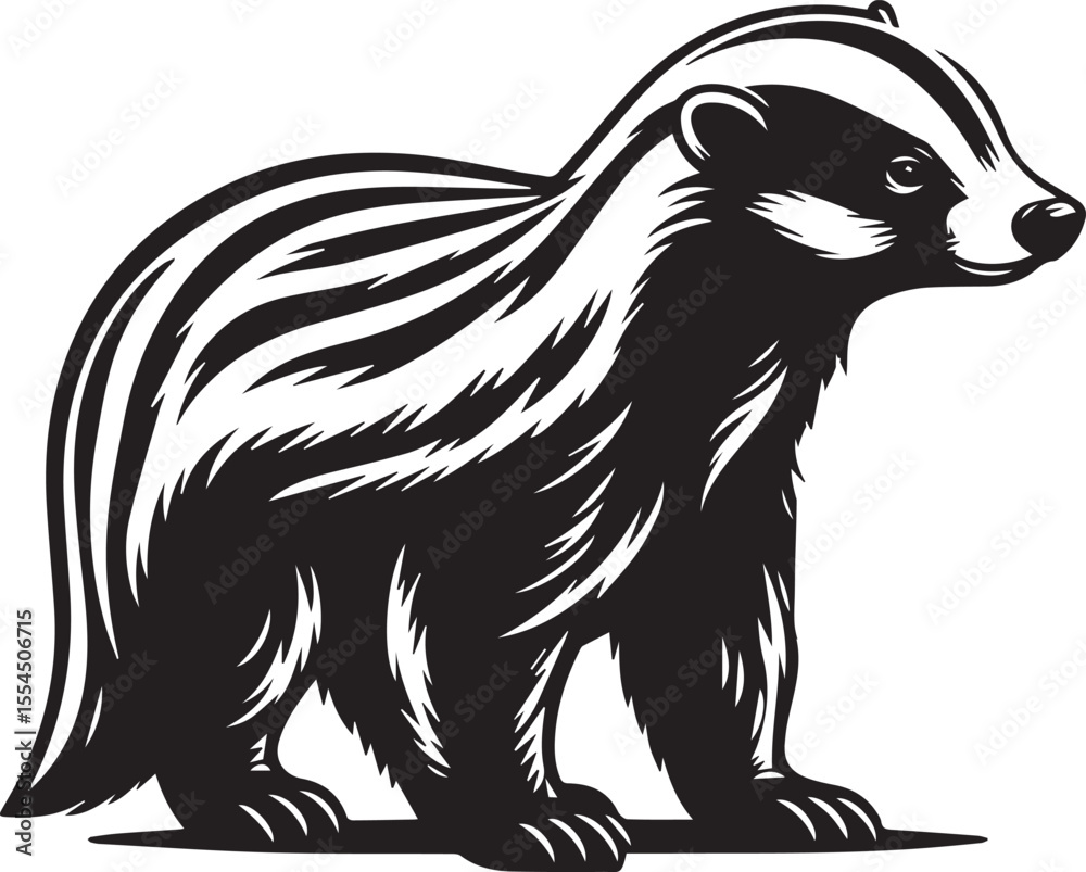 Obraz premium Honey Badger Vector in black and white 