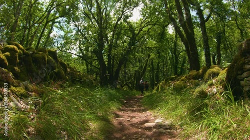 Forest therapy slow motion nature walk wellness retreat Lot region
