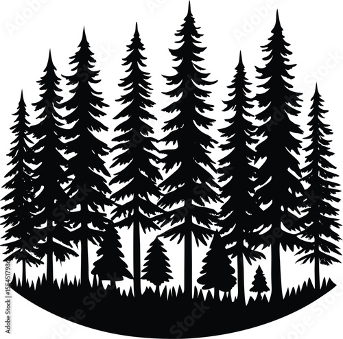 Silhouette of a forest tree line