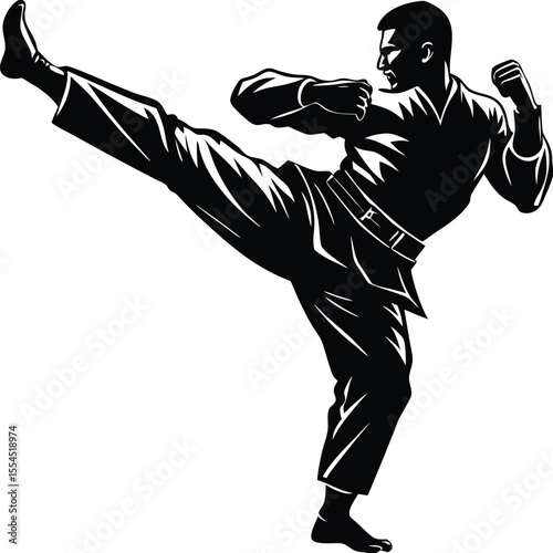 Silhouette of a martial artist mid kick