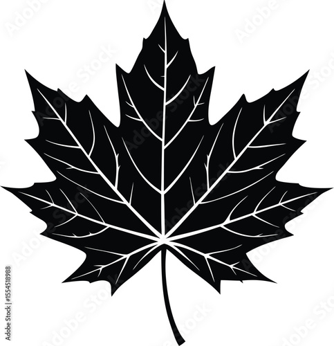 Silhouette of a maple leaf autumn