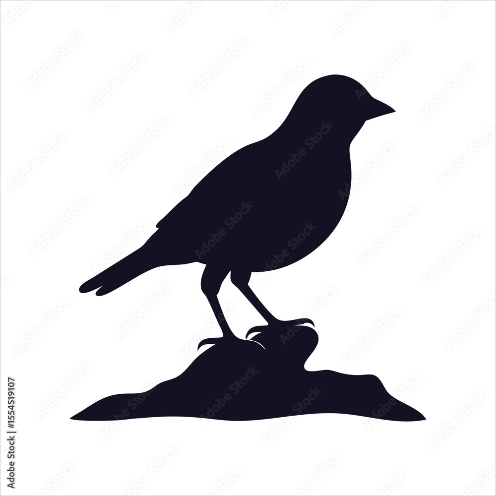 Obraz premium Bird Standing on a Rock Silhouette- Nature Icon.