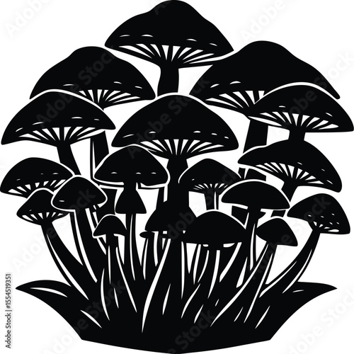 Silhouette of a mushroom cluster