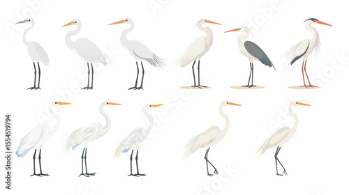 Cute egret vector art illustration in a distinct and whimsical style, featuring a graceful white bird with charming features and artistic flair, perfect for children’s content, decorative prints