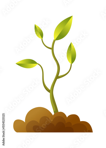 A small plant is now growing out of the ground successfully