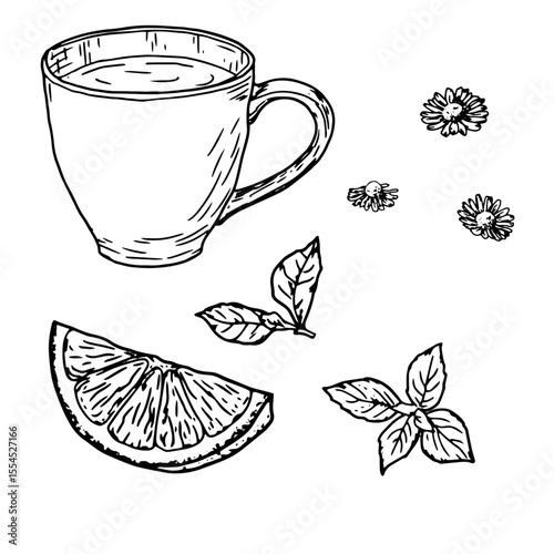 A glass of tea with lemon and mint leaves. Vector illustration. The set is isolated on a white background. Chamomile tea mug, Tea party theme, Coffee shop, menu, cookbooks and recipes