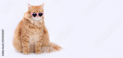 Fluffy ginger cat wearing pink heart-shaped sunglasses, sitting on white background. Cute fashionable pet with a funny look. Perfect for humor, lifestyle, or creative designs.