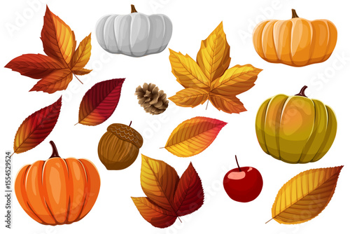 pumpkins,autumn leaves,acorn,rowan,pine cone colorful symbols isolated on the white background vector illustration.autumn festival decor object template.