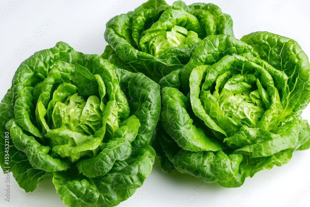 Fototapeta premium Three Heads of Fresh Green Lettuce, salad , produce
