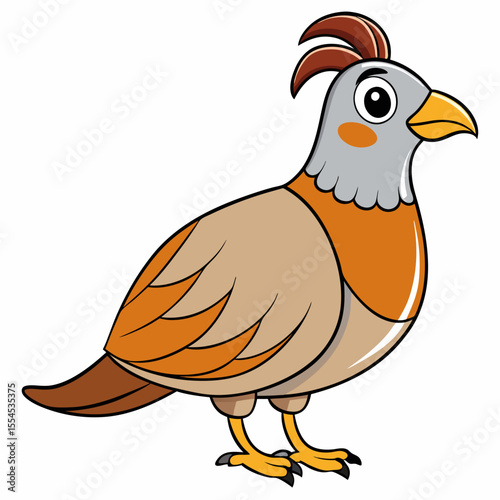vector illustration of chicken