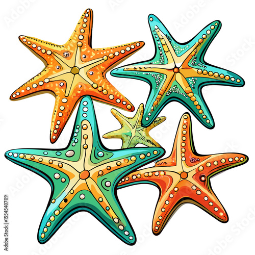 vector illustration of a starfish