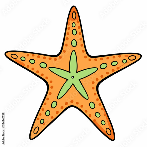 vector illustration of a starfish